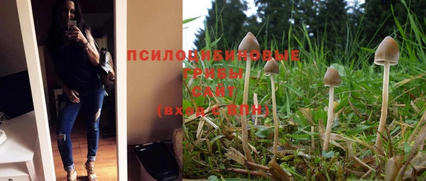 кокаин Алексеевка