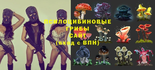 кокаин Алексеевка